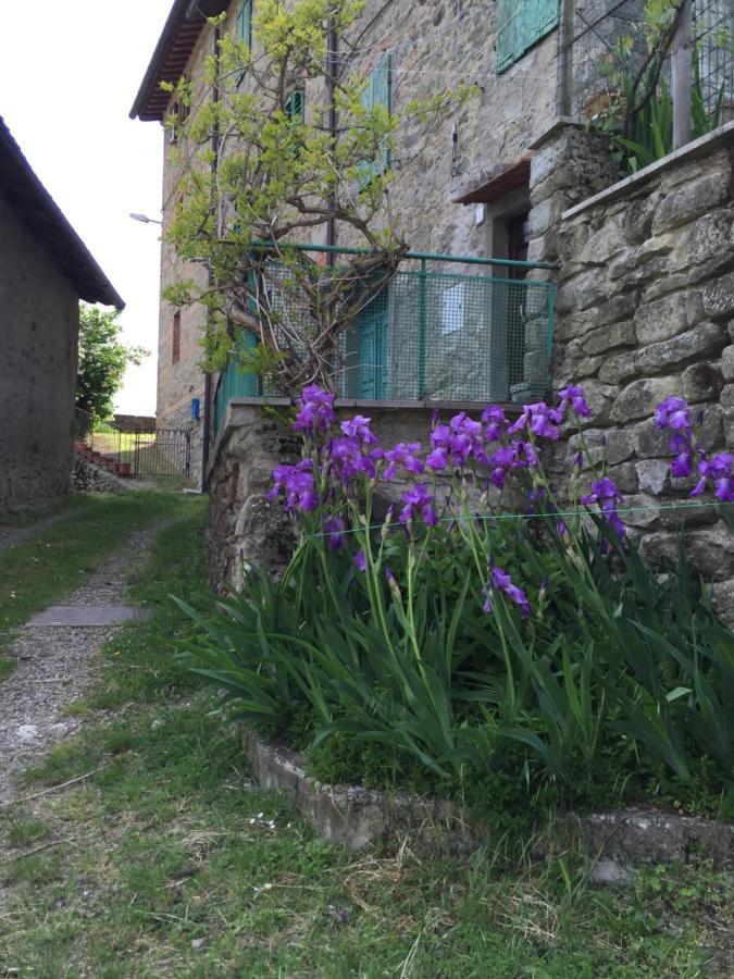 Castello Di Urbech Apartment Pratovecchio Exterior photo